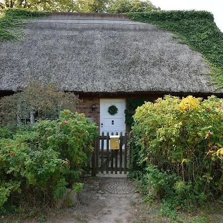 Reetdachhaus In Bansin